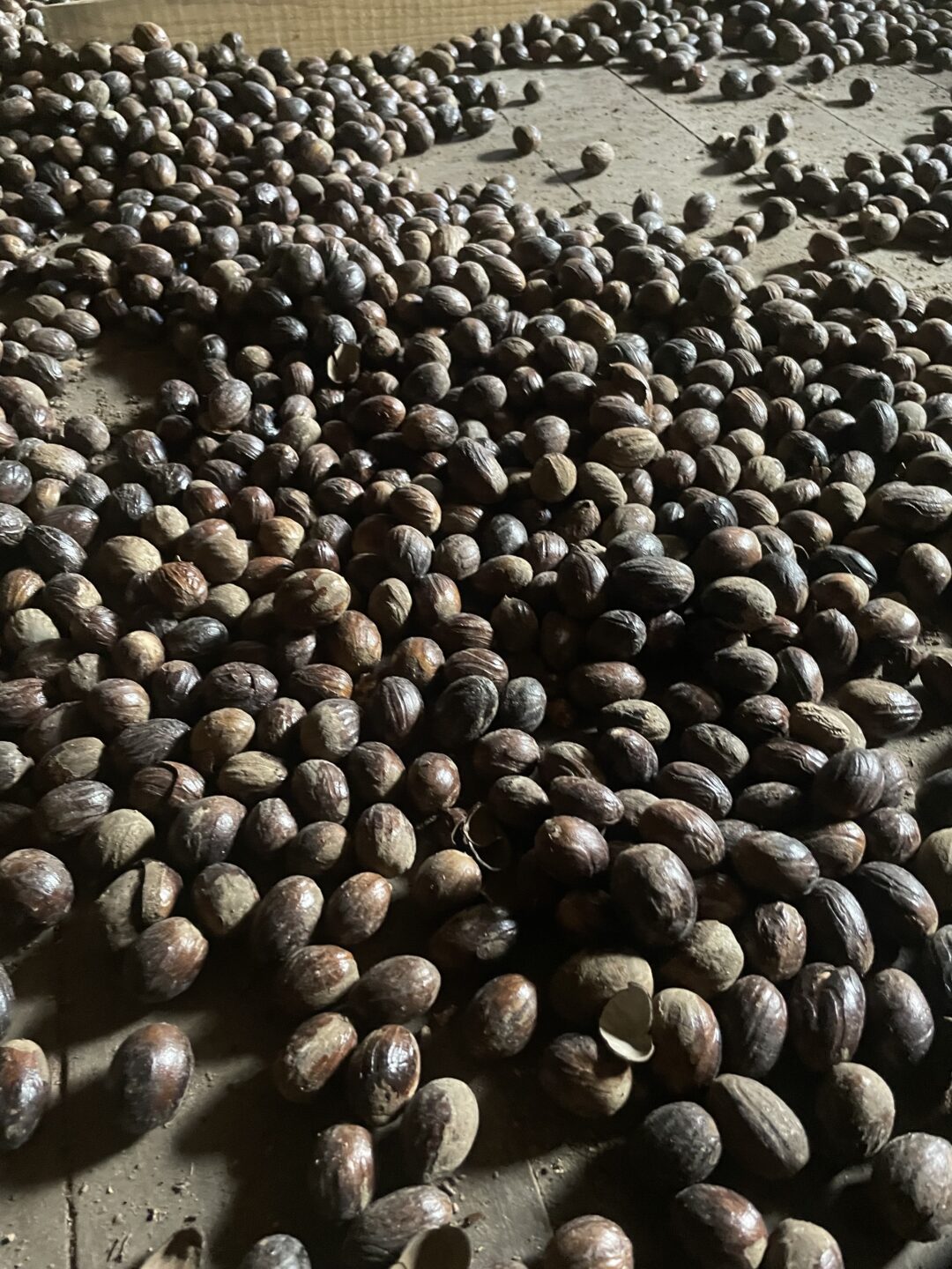 VEGAN cocoa butter - Image 5